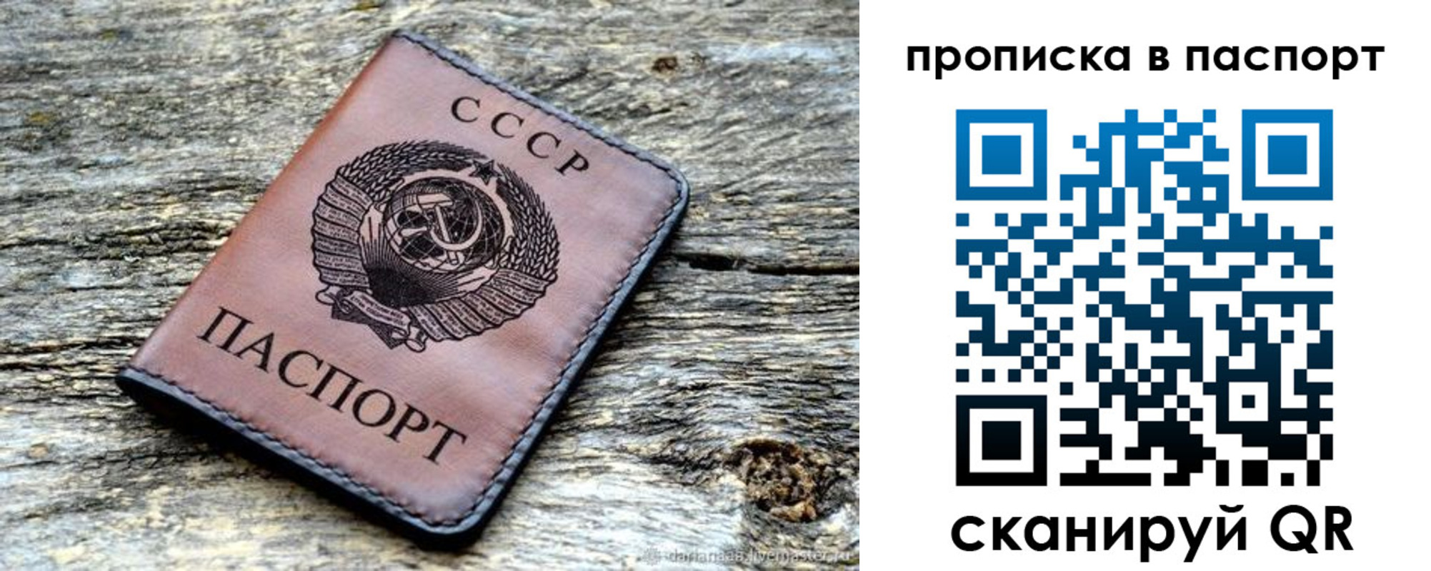 прописка ребенка в Жукове